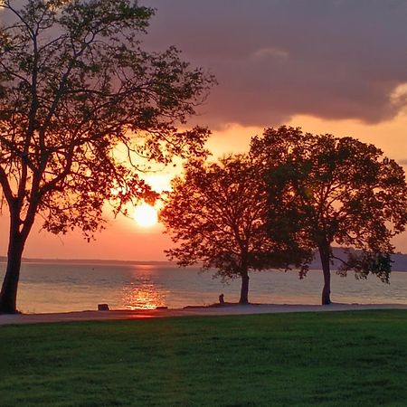 The Gemini-A Dreamy, Waterfront Tiny Cabin Rogersville ภายนอก รูปภาพ